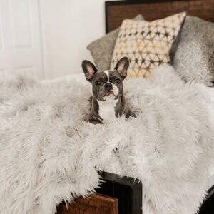 PupProtector™ Waterproof Throw Blanket - Grey- Original – 60"L x 50